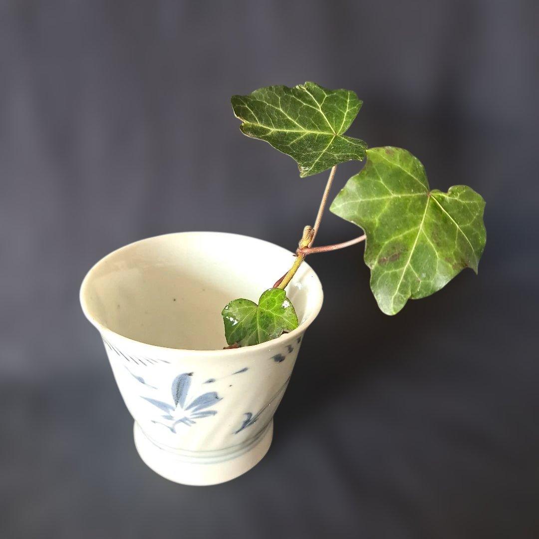 「400年前のロマン！ 初期伊万里 蕎麦ちょこ」 染付猪口(直径8cm) 骨董ア