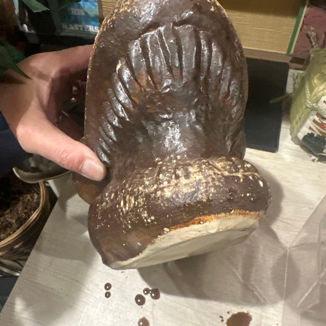 信楽焼　恐竜頭インテリア