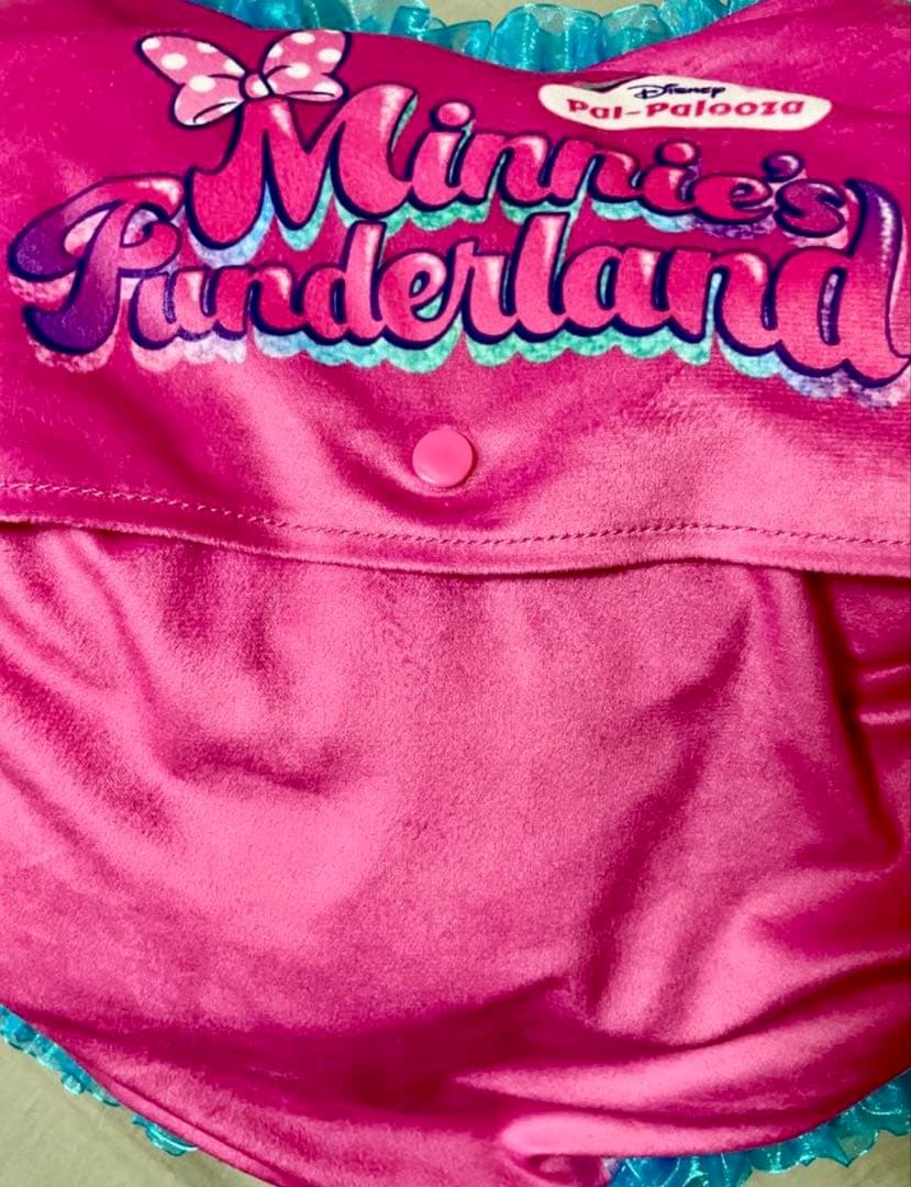 パルパルーザ 4点セット ミニー ファンキャップ ブランケット バッグ