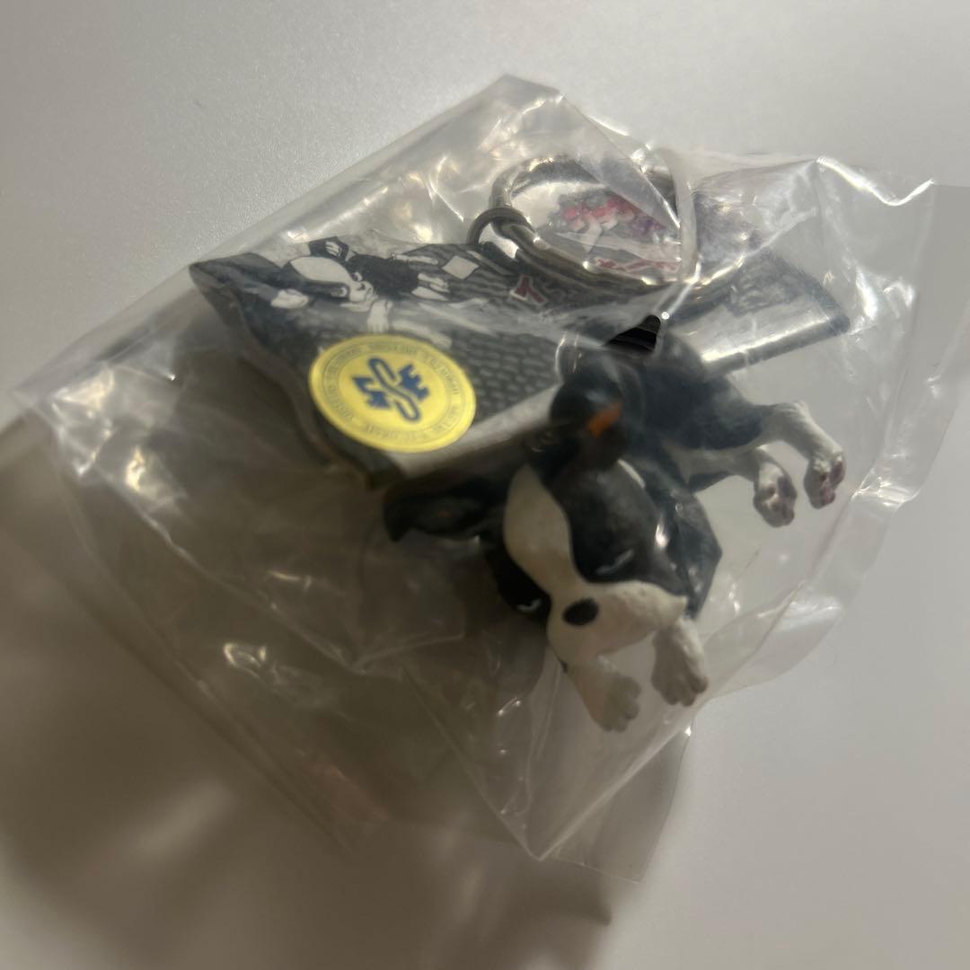 【未開封】ジョジョの奇妙な冒険 イギー キーホルダー 全5種セット