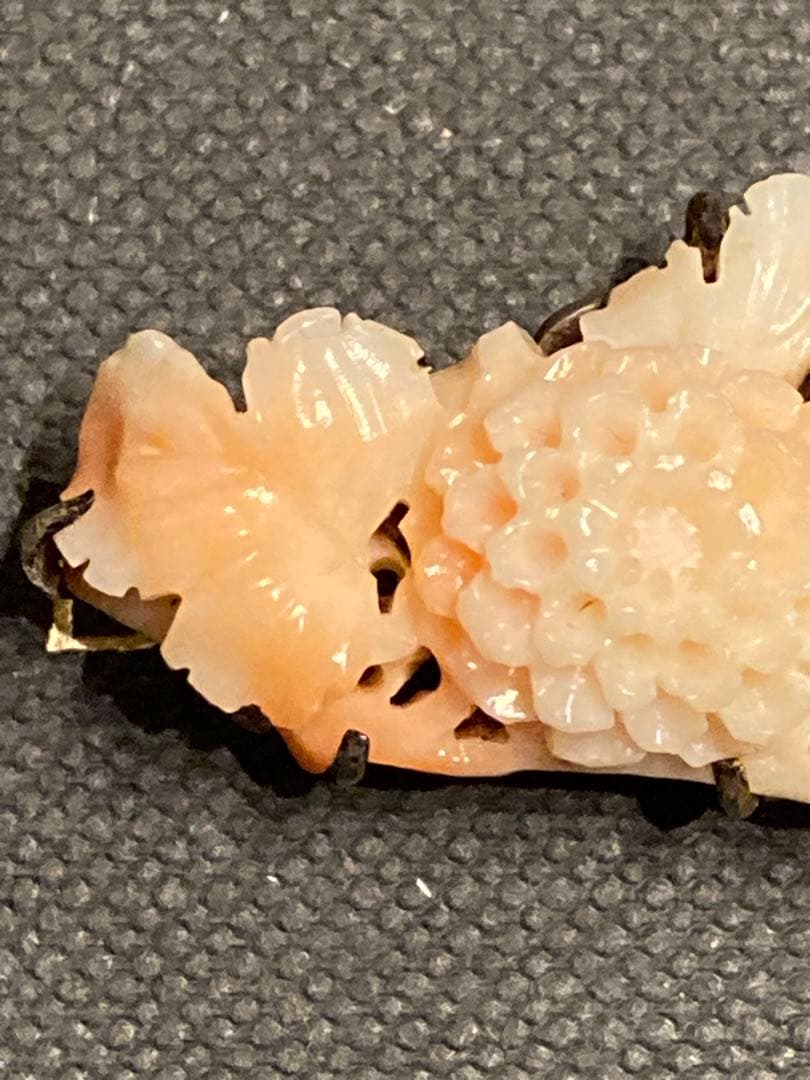 【激レア】本珊瑚　帯留　希少