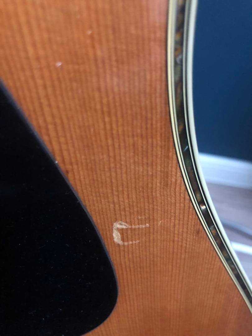 Morris TF-805 アコースティックギター　セミハードケース付き