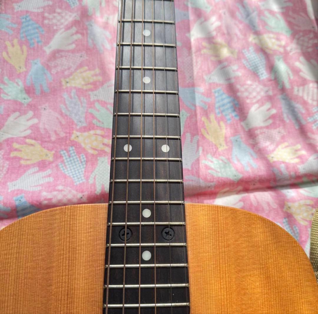 【おまけ付き】ベビーテイラー ギター baby taylor