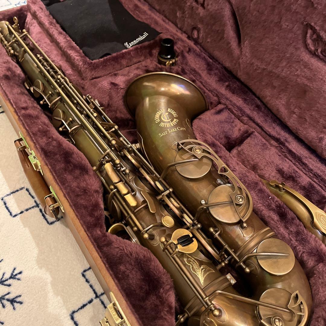 キャノンボール　TVR-BR 保証書付