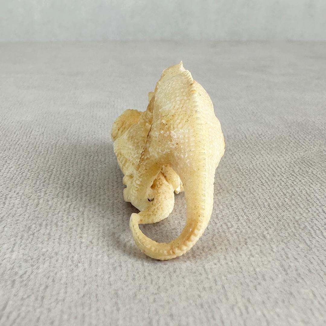根付　置根付　恐竜　彫刻　セイウチ牙製　置物　ミ10