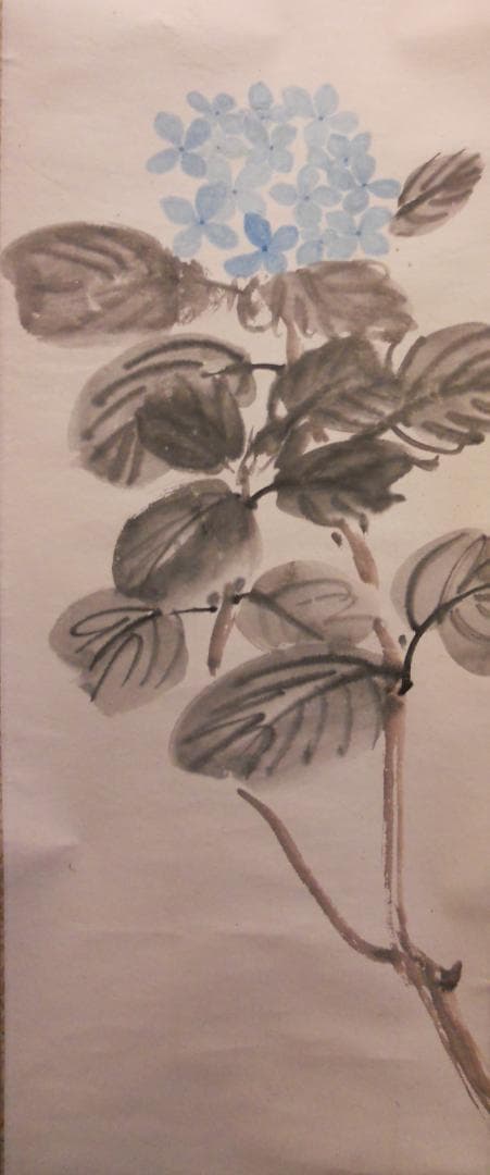 掛け軸 三好風人 『 紫陽花 』 俳句 画賛 俳画 紙本 希少 軸装 掛軸 美品