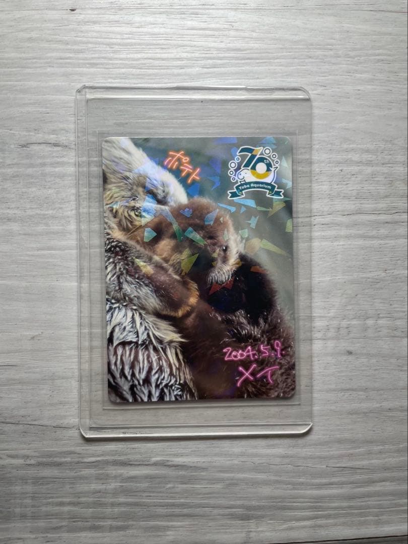 鳥羽水族館　コレクションカード　メイちゃんとポテト他4枚セット