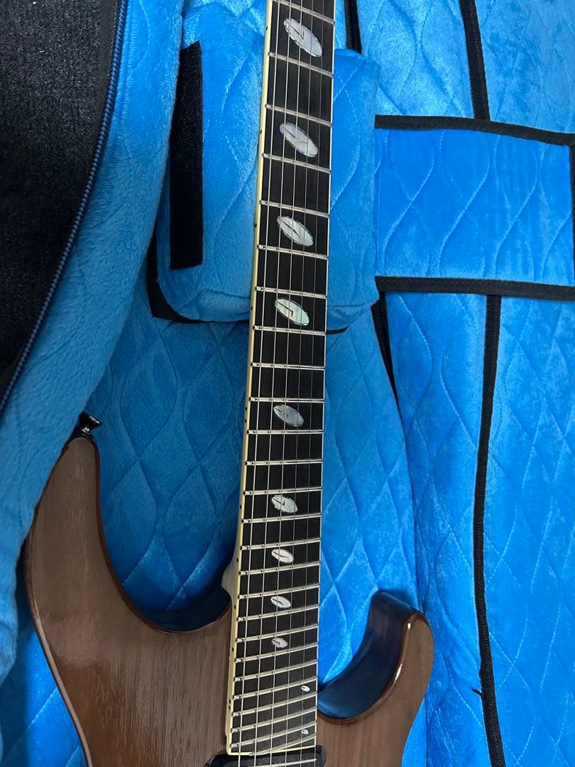 ギター Caparison Horus WB FX EF