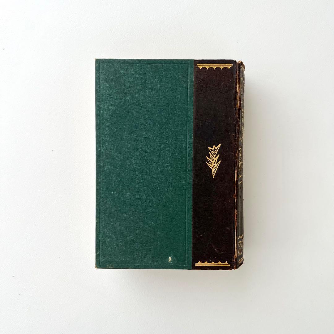 日本植物図鑑　牧野富太郎　北隆館　1925年初版