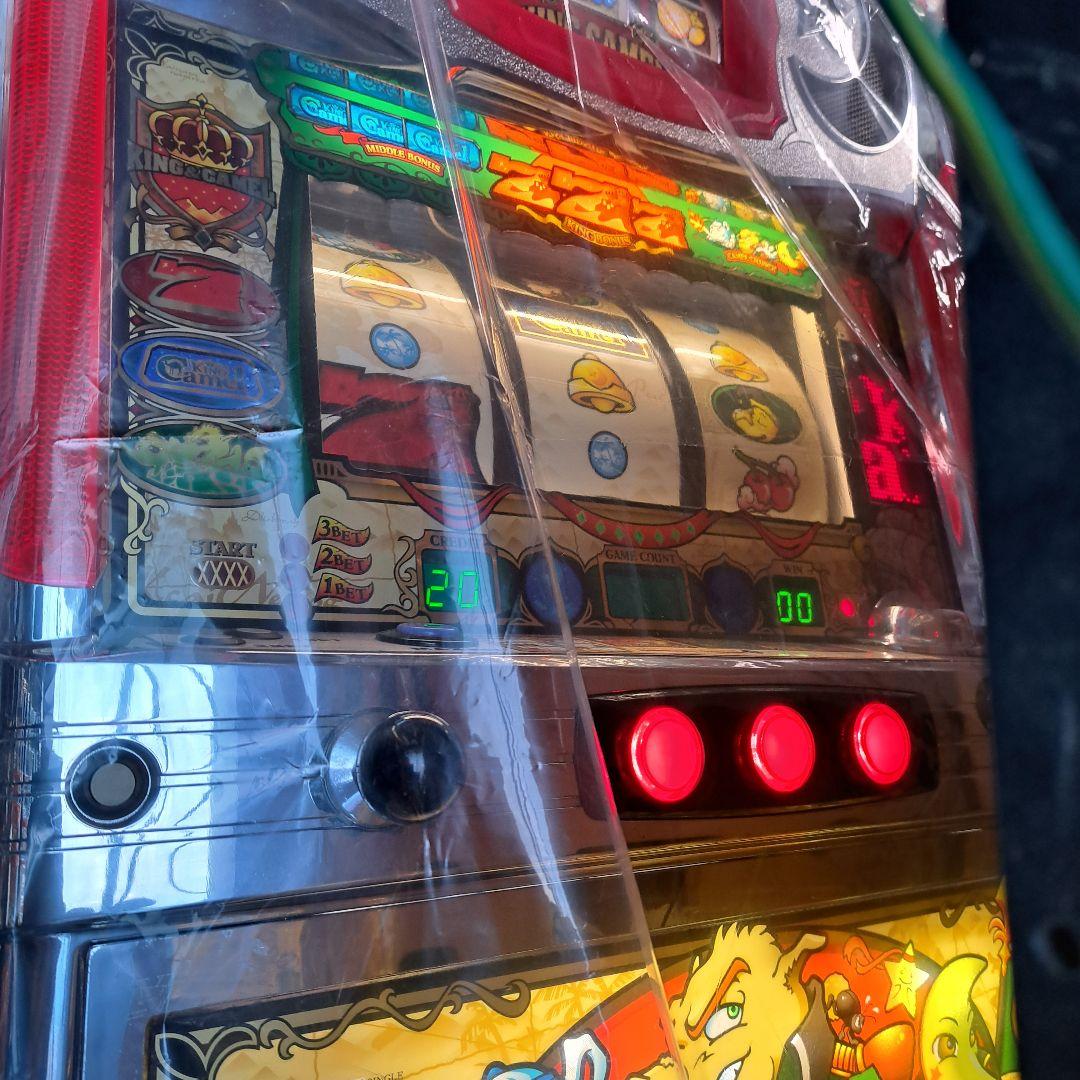 キングキャメル