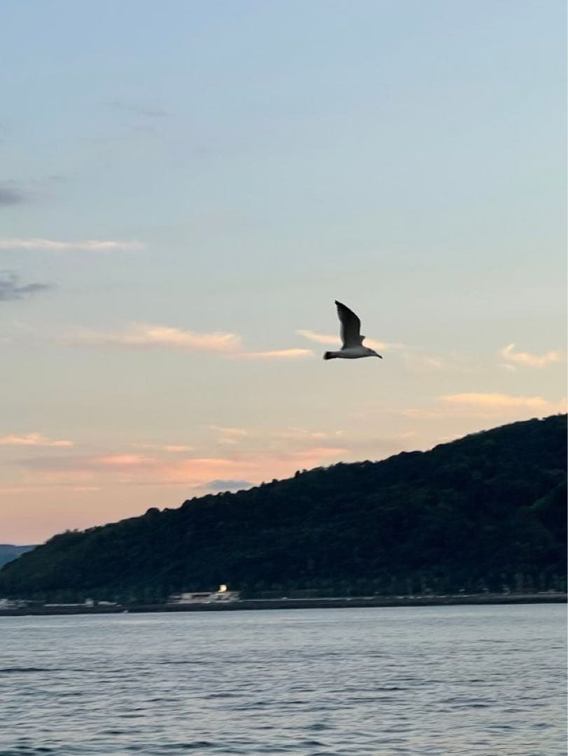 専用ページ✩.*˚★フラーレン★インプラント除去 セット❣️FABクリーム★