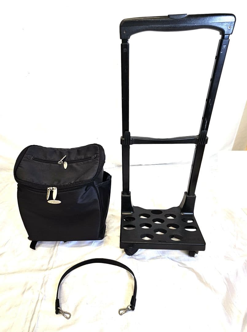 SWANY　スワニー　キャリーカート　キャリーバッグ　取り外し可能