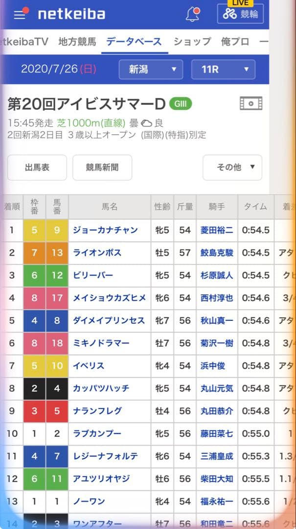ライオンボス　実使用　ゼッケン　新潟競馬場　アイビスサマーダッシュ