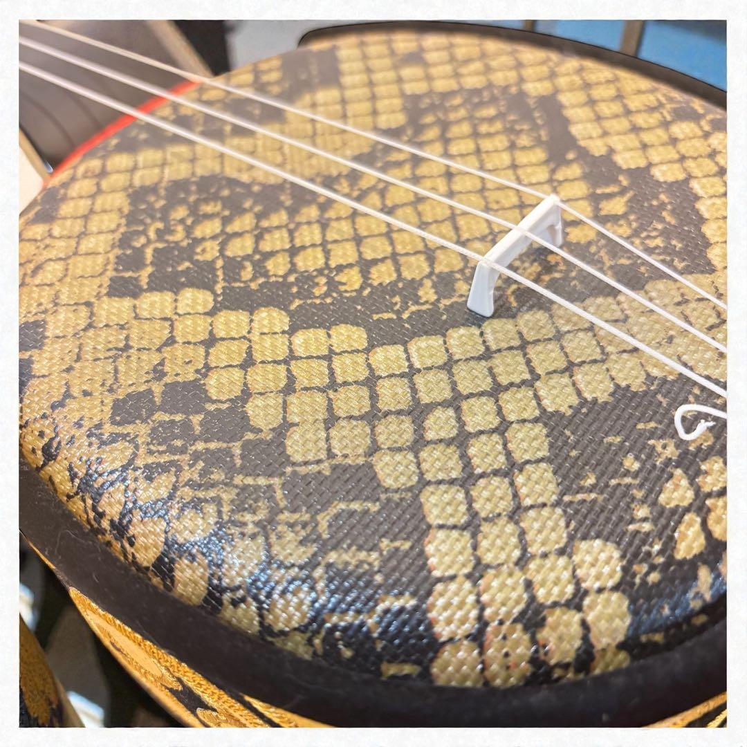 【ほぼ未使用】沖縄三線 工四合 人工皮 入門セット　蛇柄 初心者オススメ 三線