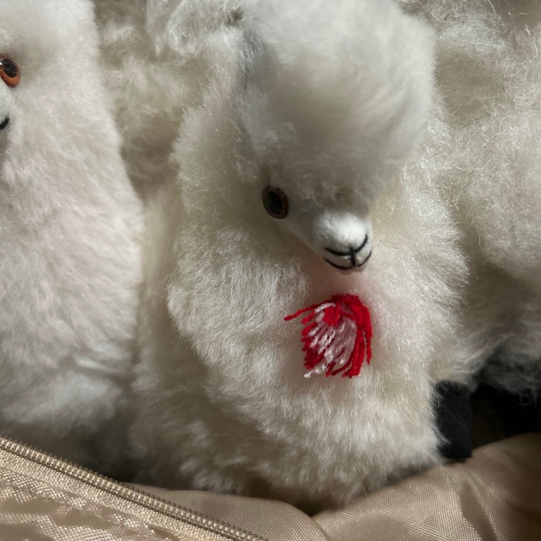 ペルー現地購入　アルパカぬいぐるみ5点セット