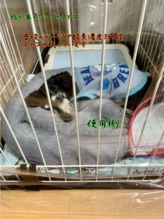 ペット用　酸素室　ゲージカバー　確認用　オーダー　酸素室カバー