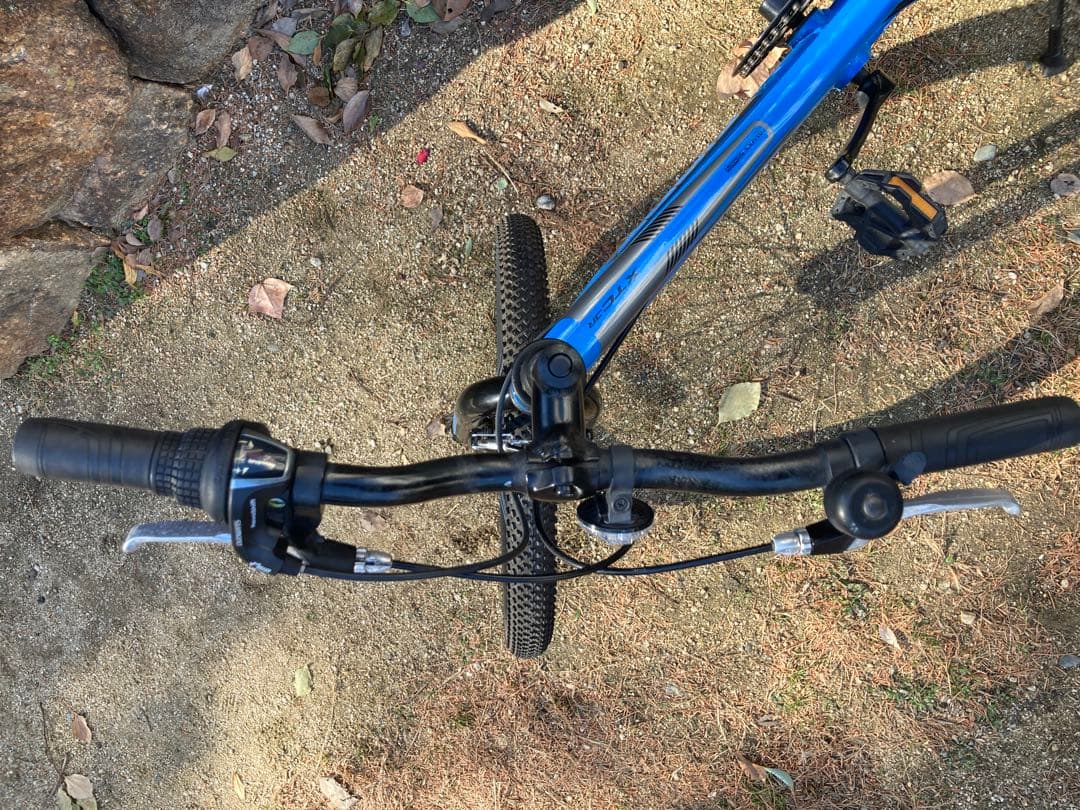 【bridgeworks】Giantキッズバイク　20インチ