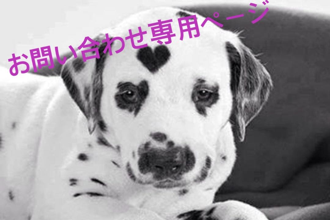 お問い合わせ専用ページ