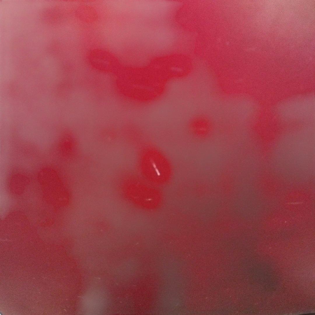 サ*ク様 Pearl ブームボックスカホン