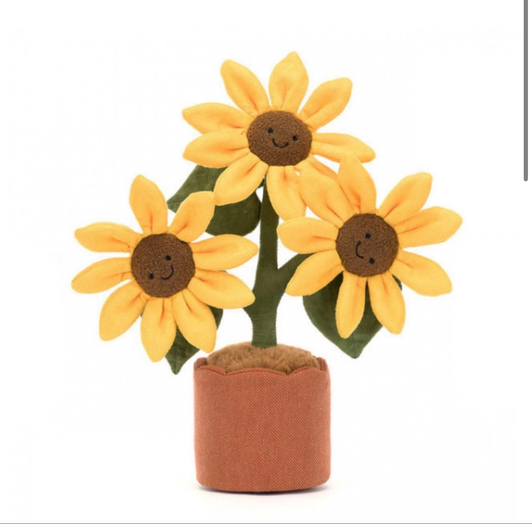  Amuseable Sunflower ひまわり 向日葵 お花