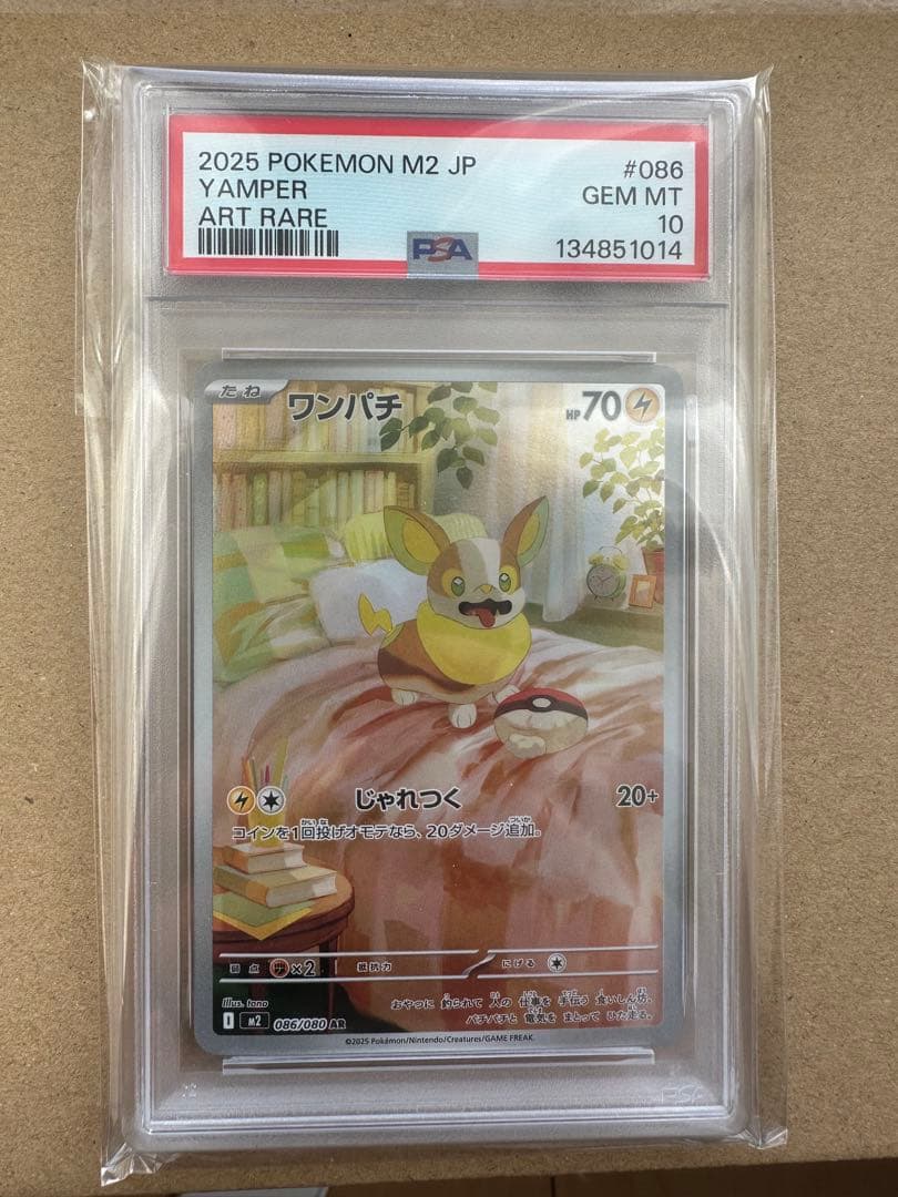 ワンパチ ART RARE PSA10