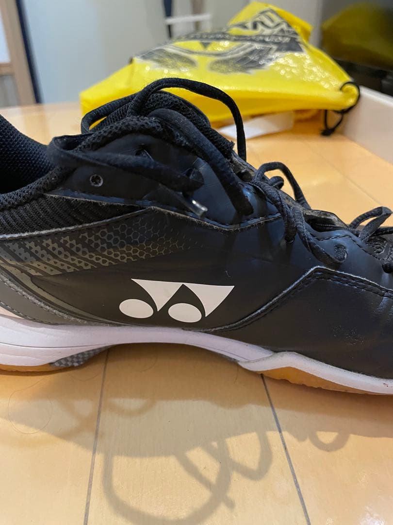 パワークッション65Z