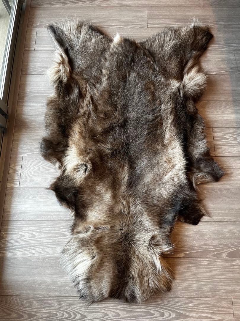 s*o様 ダーラム トナカイファー ワード Lサイズ　室内利用のみ　※ベルトなし