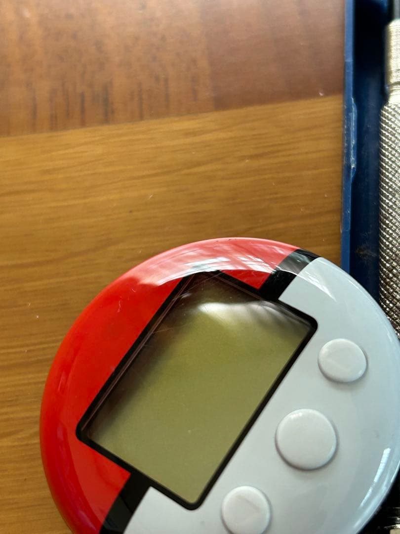 ポケットモンスター ソウルシルバー ポケウォーカー DS ソフト