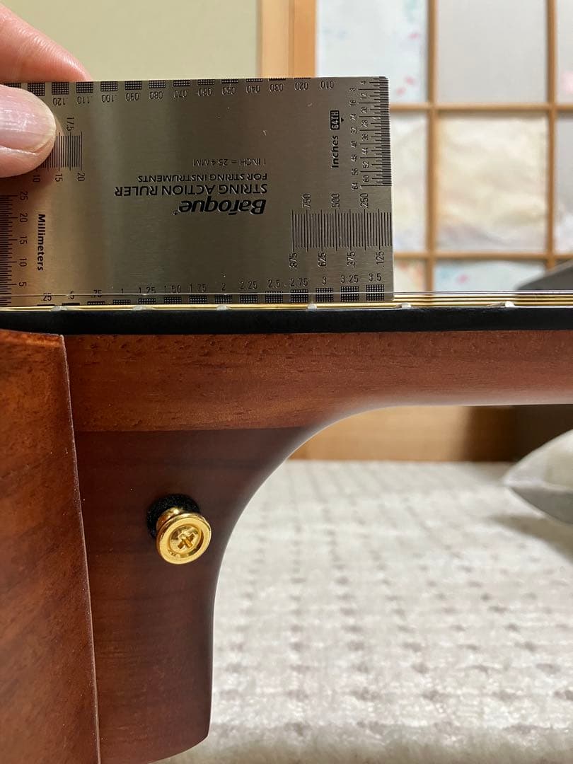 ヘッドウエイ　HD-BROWNIE エレアコ