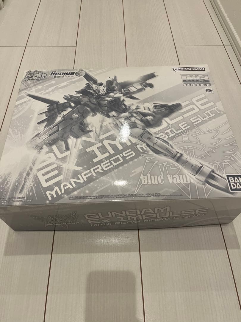 ＭＧ 1/100 ガンダムエクスインパルス