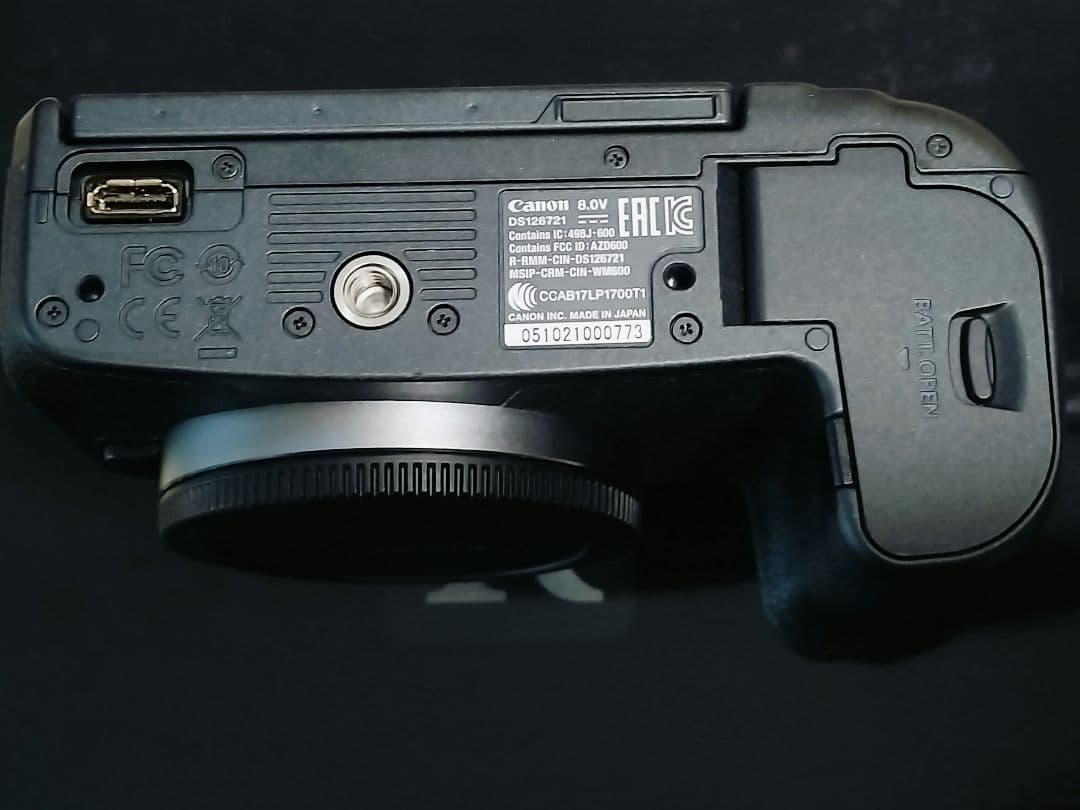 Canon EOS R本体+BG-E22