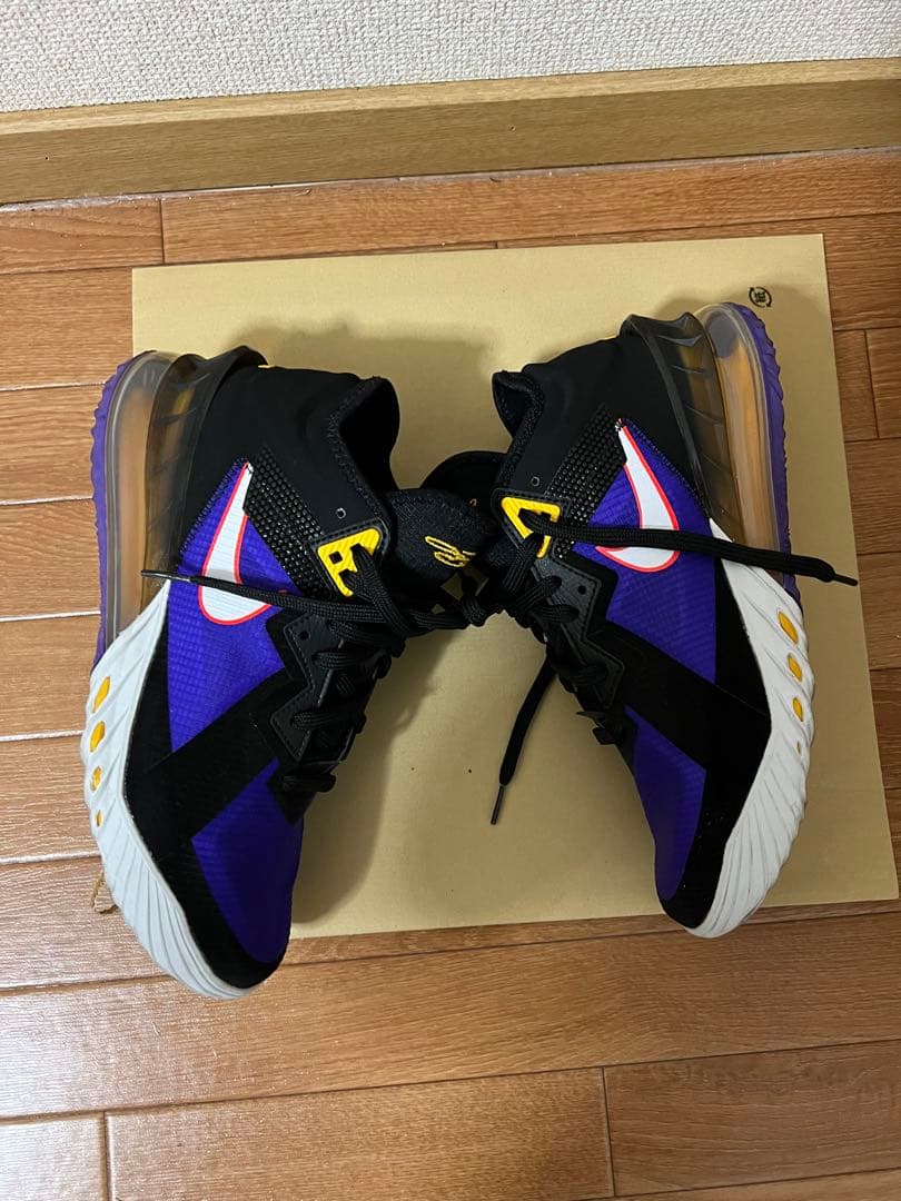 Nike バスケットボールシューズ　ブラック/パープル