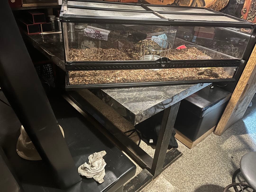 GEXエキゾテラグラステラリウム90、爬虫類ケージ、リクガメ飼育ケージ