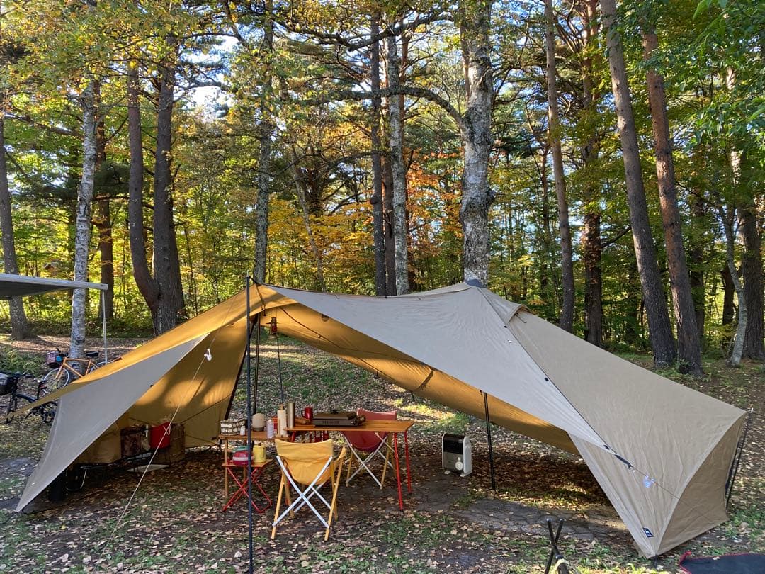 Xmas値下げ！ゼインアーツ ギギ2 PS-022/ZANEARTS