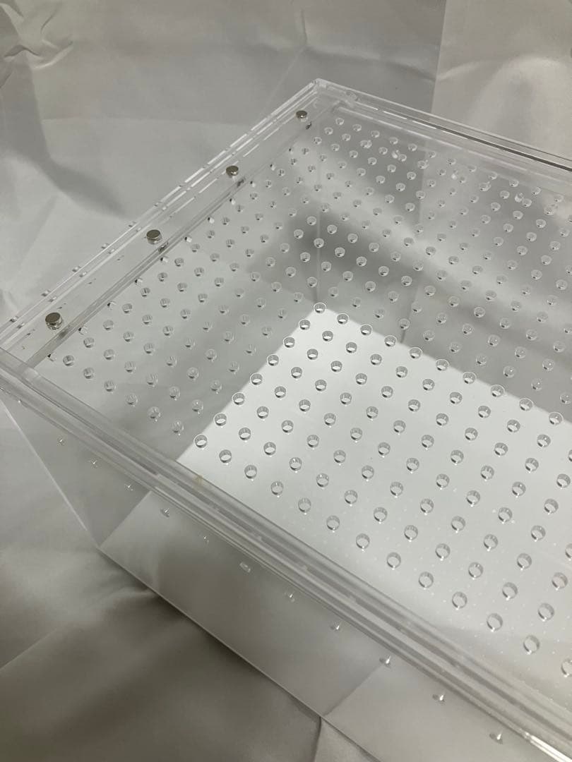 【6box】30×20×15 白底 レプタイルボックス同等　マグネット アクリル