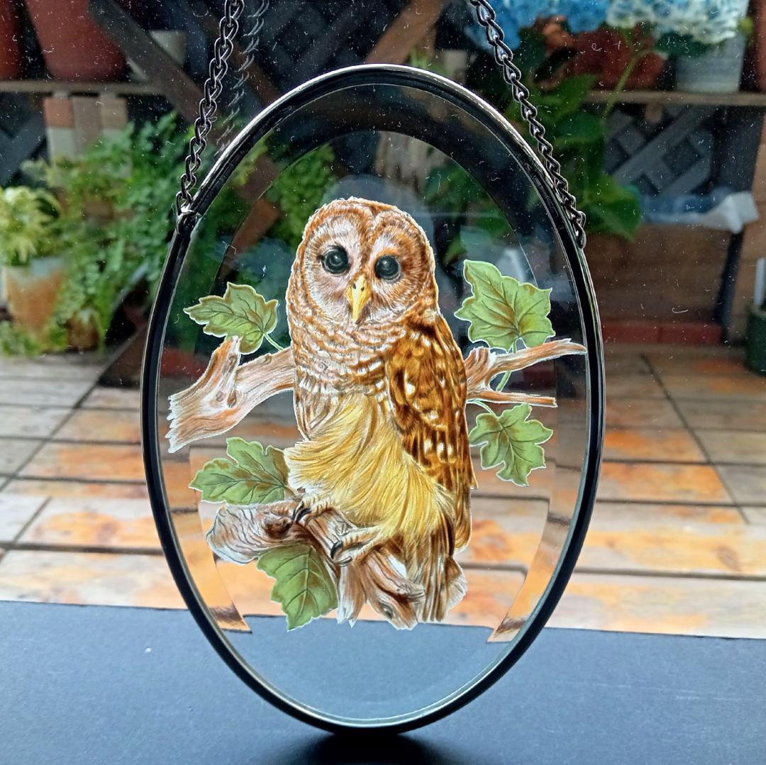 ライフォード社ステンドグラス ふくろうB梟フクロウ /グラスマスターズ トロント