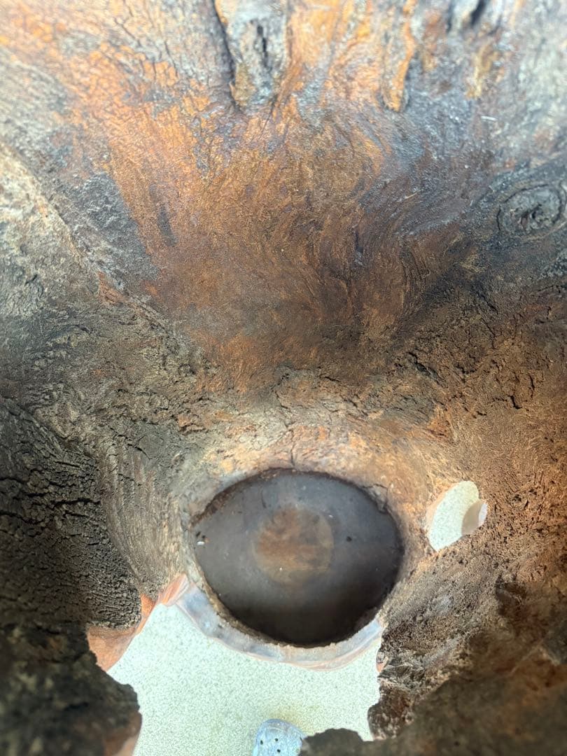 木製彫刻 神様像 大きめ