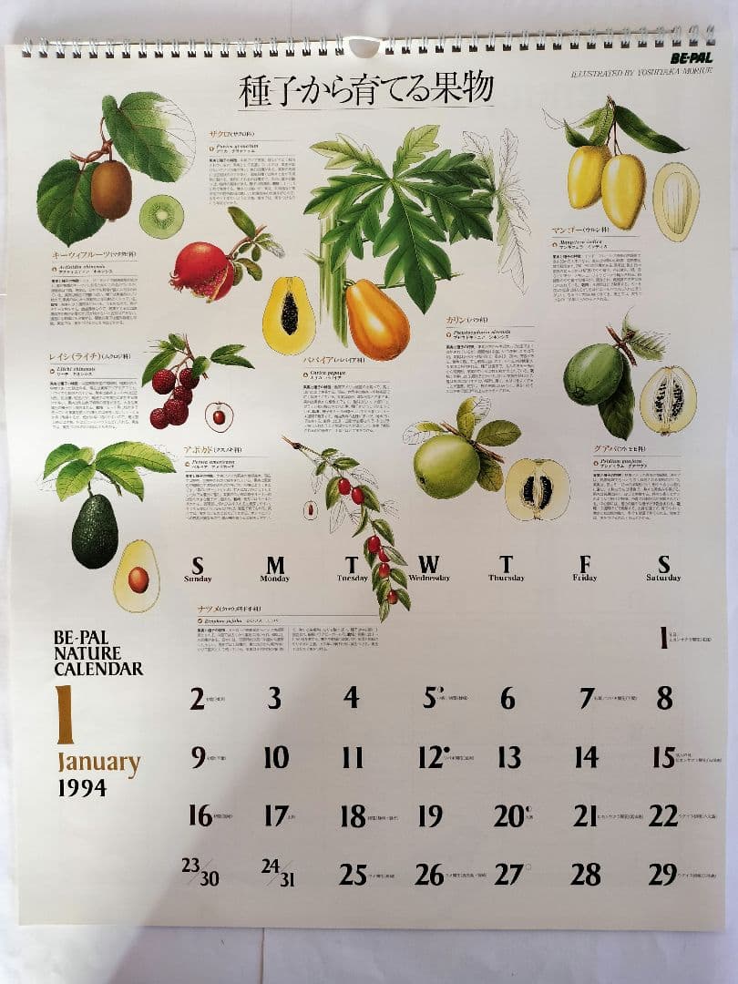 BE-PAL ビーパル カレンダー 新品未使用 1994年 ヴィンテージ