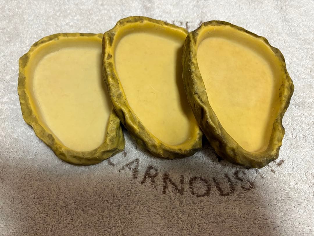 【最終値下げ】爬虫類飼育セット（爬虫類飼育ガラスケージセット）