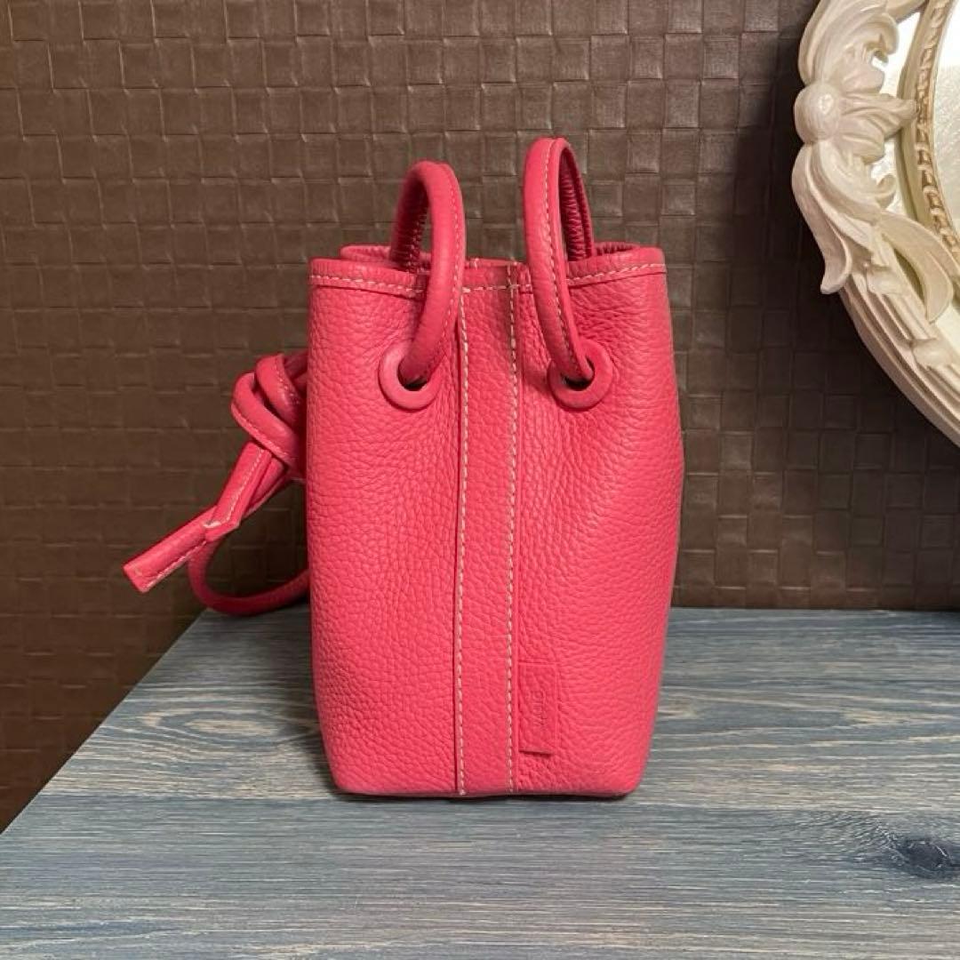 極美品Vasic Bond MiniMiniピオニー限定色 2way バッグ