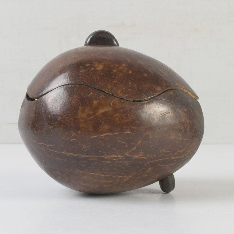 茶道具　椰子の実　内金溜　菓子器　時代箱　M　9853