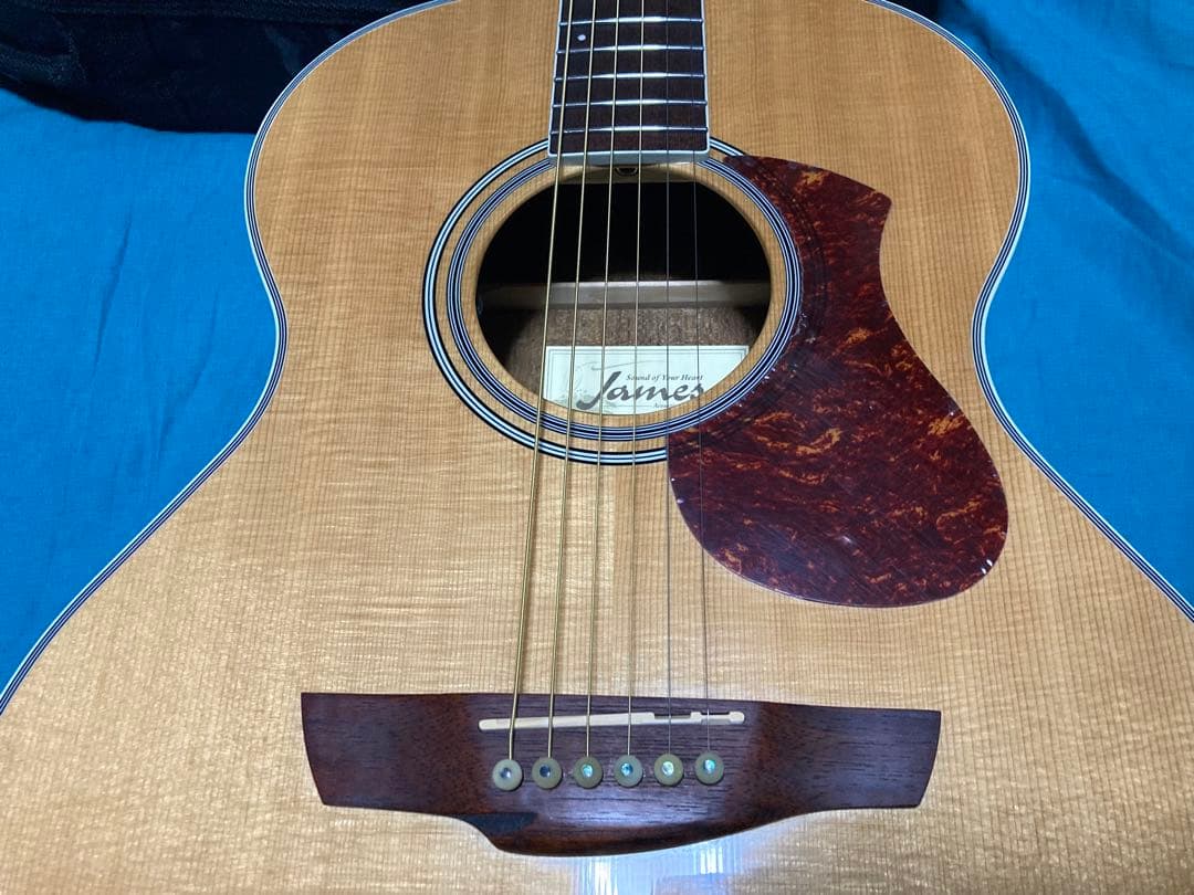 James J-450A/Ova NAT ジェームスギター