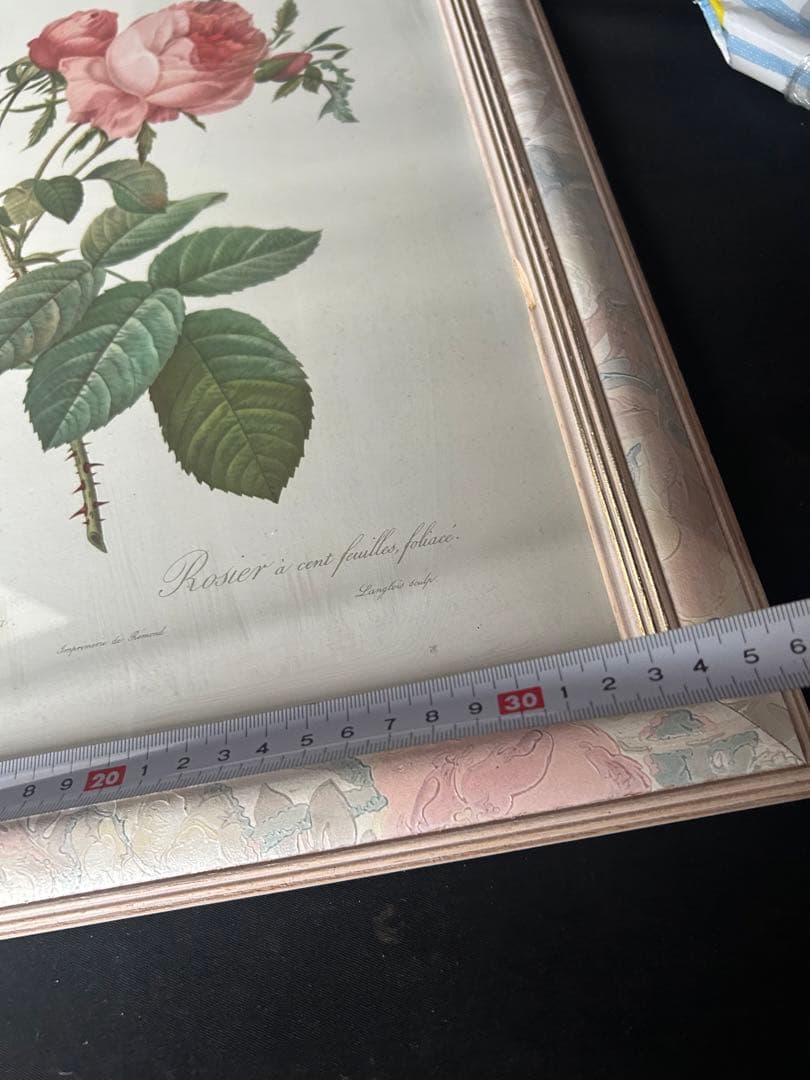 バラの植物画 シルバーフレーム付き