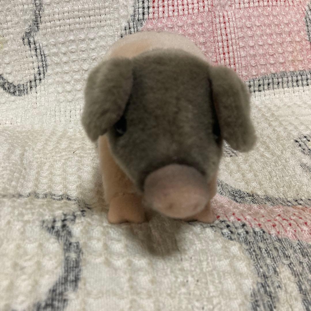 kosen ケーセン　ぬいぐるみ 豚　ぬいぐるみ　中古品　①