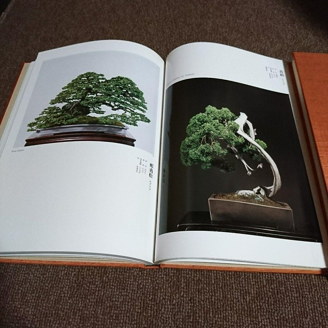 日本盆栽水石名品大系 松柏 3巻セット