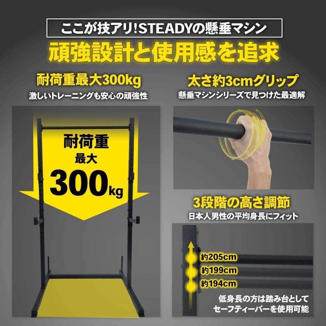 新品未使用コンボラック、懸垂、ベンチプレス、スクワット公称耐荷重300kg