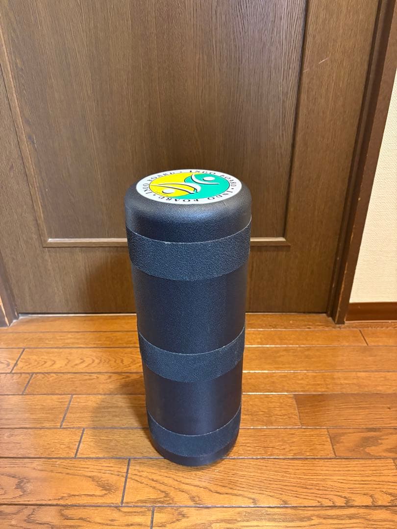 INDO BOARD バランスボード サーフィン