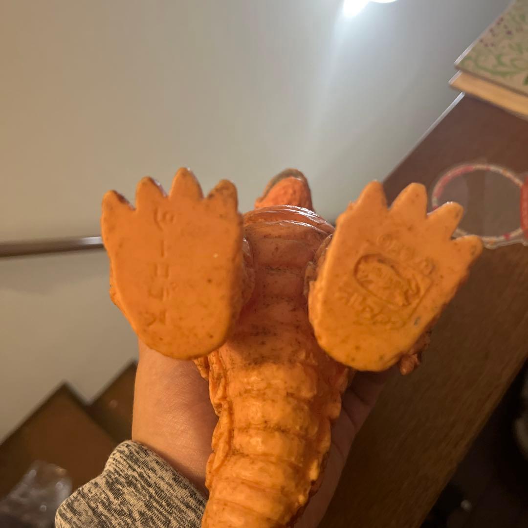 ブルマァク シーゴラス