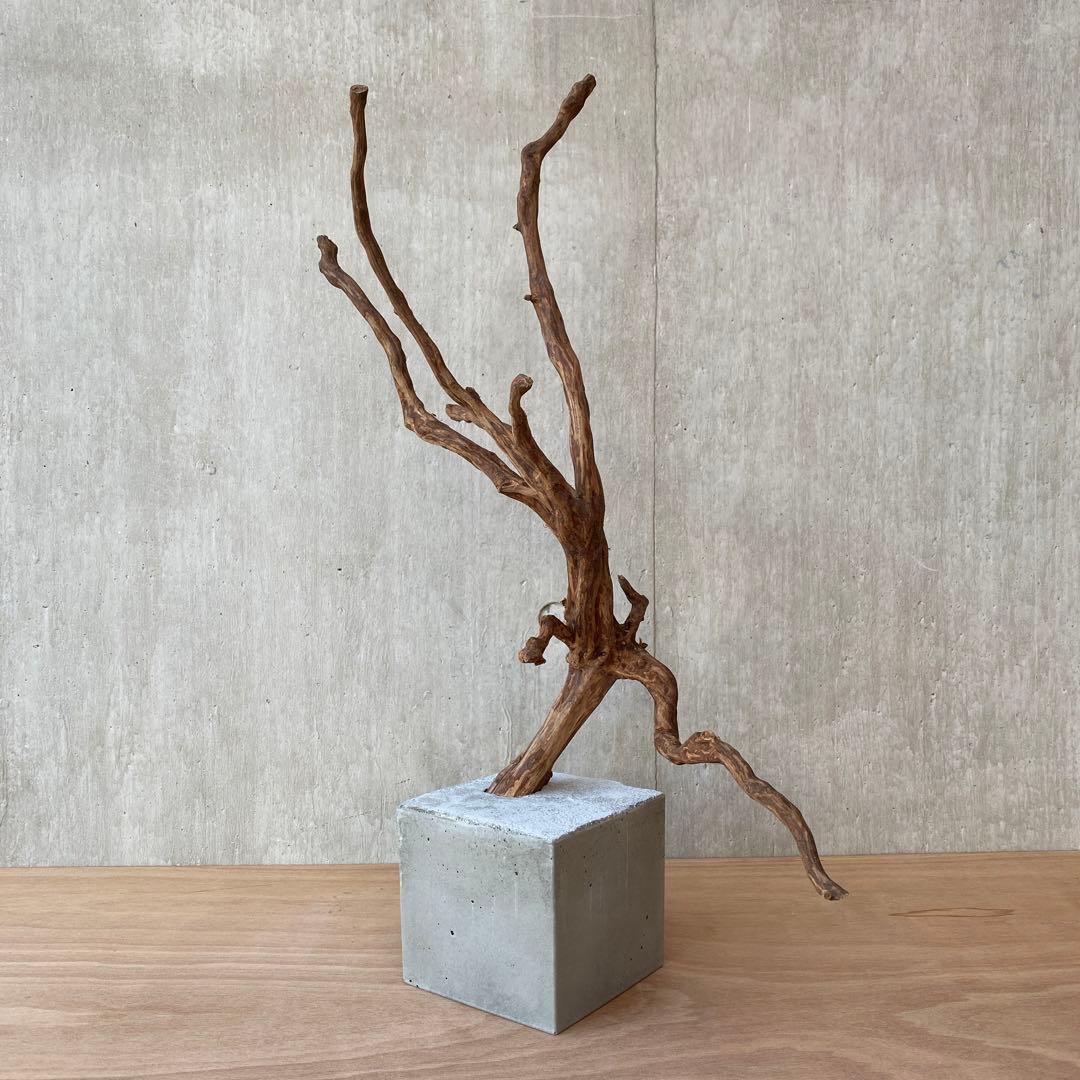 ❹【コンクリート盆栽 流木オブジェ】アクセサリー インテリア アート 爬虫類