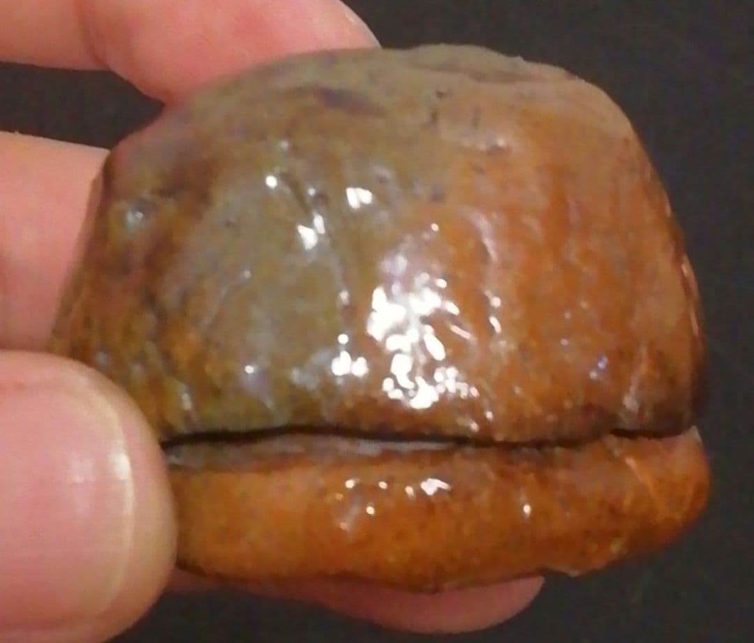 覚々斎？書付　楽焼　梅　香合　共箱　茶道具